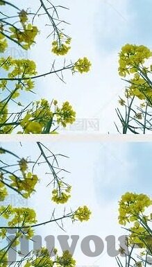 免费足球比分API-免费足球比分API，解锁体育数据新世界的钥匙