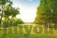 足球比分让分-深度解析足球比分让分，策略、风险与实战应用