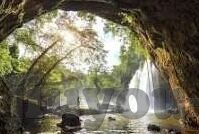 足球比分章鱼-章鱼神算子，足球比分预测的奇妙跨界传奇