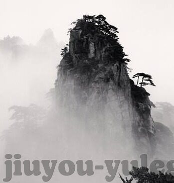足球比分直播新浪500-新浪足球比分直播500场，激情与数据的交织，共筑足球盛宴